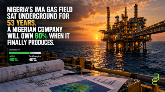 An offshore gas field discovered in 1973 is finally moving toward production. With a Nigerian company holding majority ownership and domestic banks arranging most of the financing, the deal raises a larger question: Who captures the wealth from Africa’s natural resources?